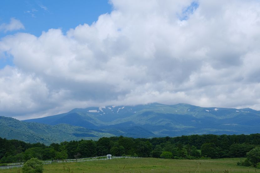 栗駒宇山の7月の風景