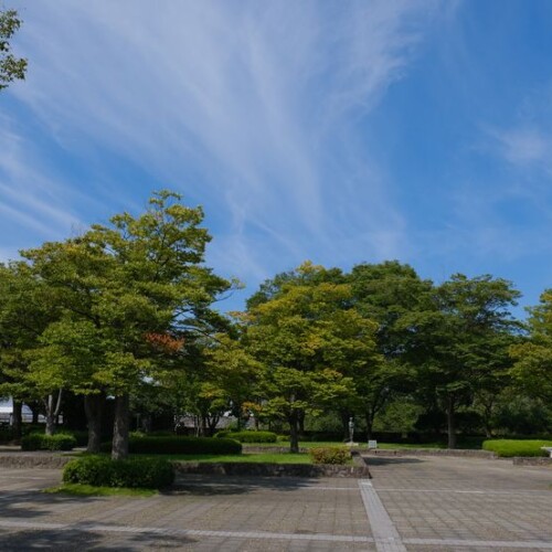 山形城址公園の風景
